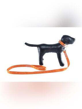 Heron Preston x Very Important Puppies Orange Dog Leash & Collar Set Size Small